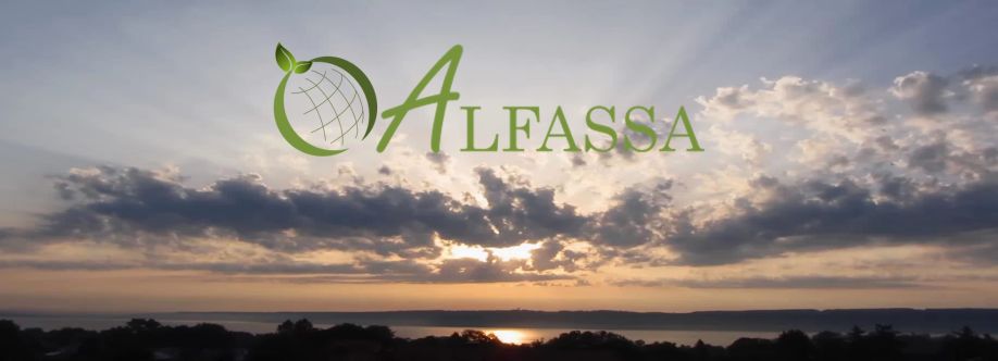 ALFASSA ALFASSA Cover Image